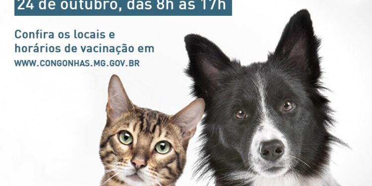 Sábado é dia de vacinação antirrábica