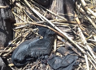 Cachorro encontra perna humana e leva bombeiros a corpo carbonizado