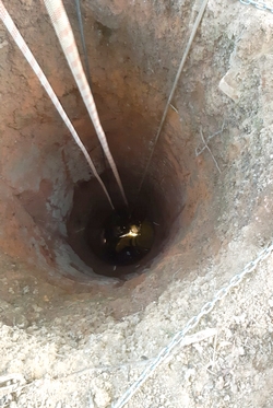 Bombeiros salvam vaca prenha que caiu em cisterna