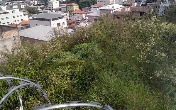 Moradora cobra limpeza de lote em Lafaiete