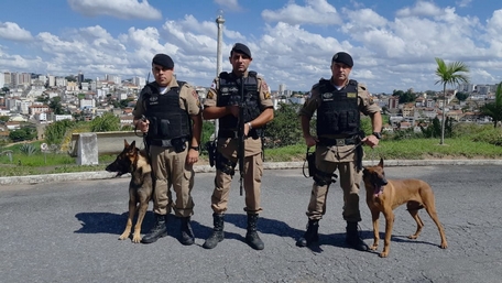 Região recebe viatura adaptada para policiamento com cães