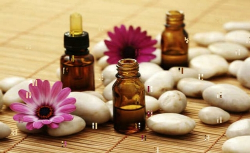 FASAR disponibiliza cartilha on line sobre plantas medicinais