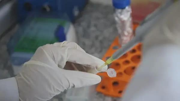 UFMG desenvolve vacina para tratar dependentes de cocaína