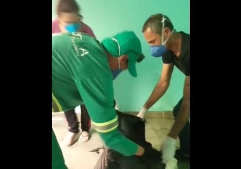 Cachorro é encontrado morto, abandonado e trancado em casa vazia