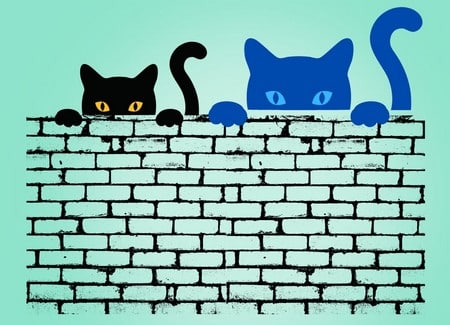 Meus gatos fizeram um acordo