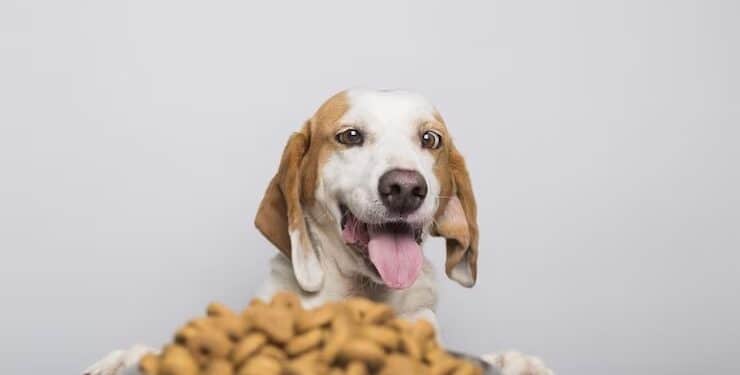 Deputados retiram ração animal de lista do ICMS extra em Minas