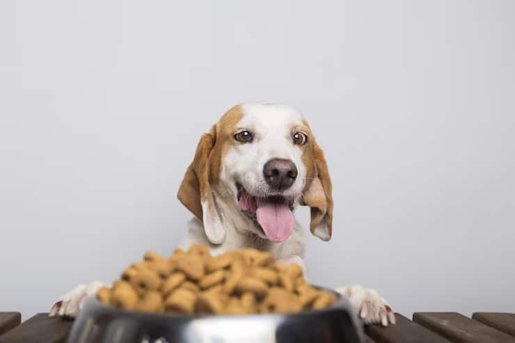 Deputados retiram ração animal de lista do ICMS extra em Minas