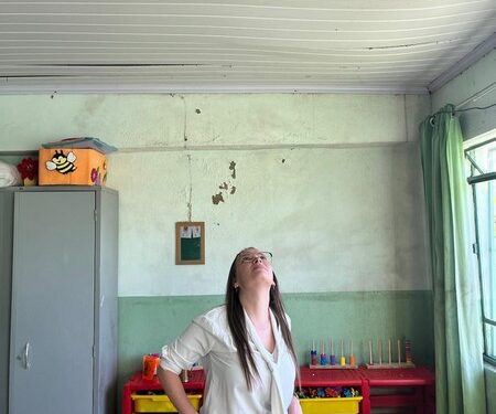 Vereadores repercutem situação de escola infestada por pombos