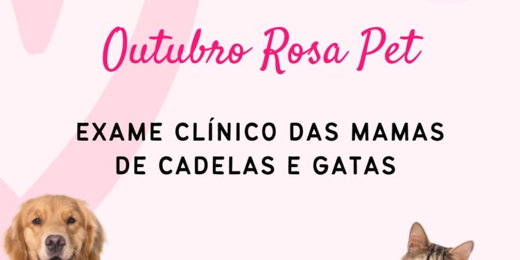 Outubro Rosa Pet terá ações em Lafaiete