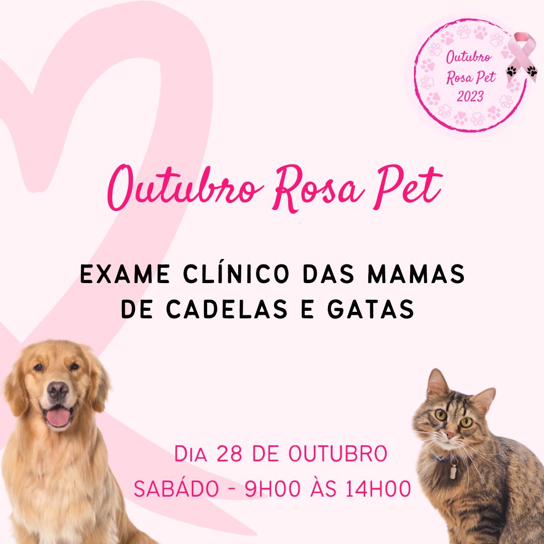 Outubro Rosa Pet terá ações em Lafaiete