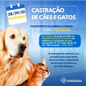 Congonhas terá campanha de castração de cães e gatos
