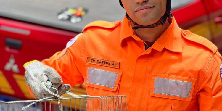 Bombeiros resgatam calopsita em sacada de apartamento
