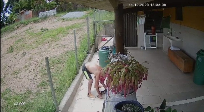 Inquérito conclui que homem que matou filhotes de cães agiu com crueldade