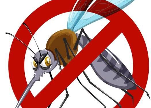 Lafaiete passa a contar com dois carros de “fumacê” contra dengue