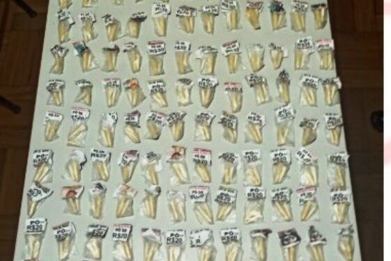 Mais de 300 pinos de cocaína são encontrados em mochila de adolescente