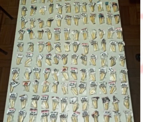 Mais de 300 pinos de cocaína são encontrados em mochila de adolescente