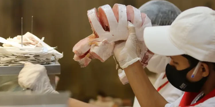 Compra de peixe e bacalhau merece atenção redobrada