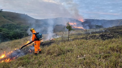 Bombeiros combatem incêndio de grandes proporções em zona rural