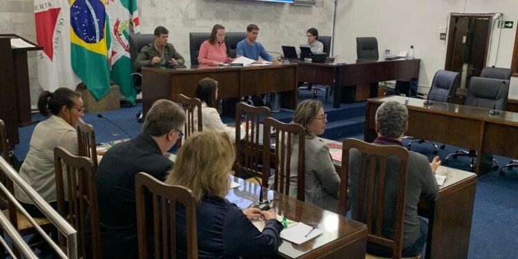 Audiência pública expõe situação das creches de Lafaiete