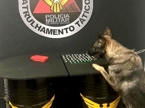 PM apreende meia barra de maconha em Lafaiete