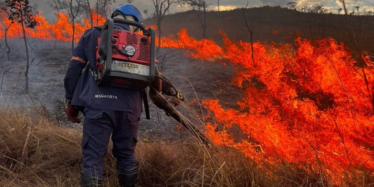 Defesa Civil de Congonhas intensifica ações contra incêndios antes do pico da temporada