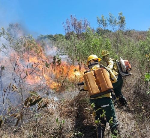 Brigada combate mais de 60 focos de incêndio em 13 cidades
