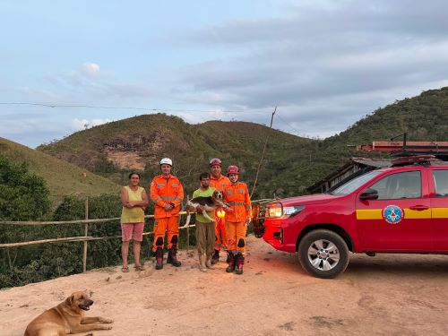 Bombeiros resgatam cão preso em pedreira de difícil acesso