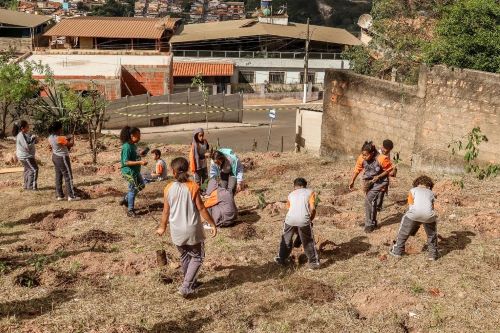 Alunos da rede municipal participam do plantio de 200 mudas nativas