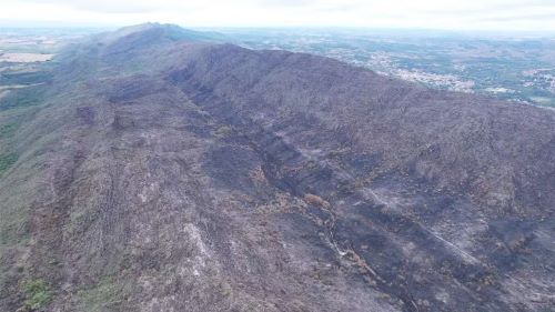 Incêndio na Serra de São José destrói quase 10% da área protegida