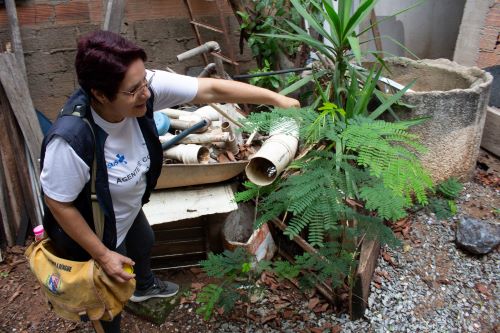 Minas intensifica ações de combate ao mosquito Aedes aegypti