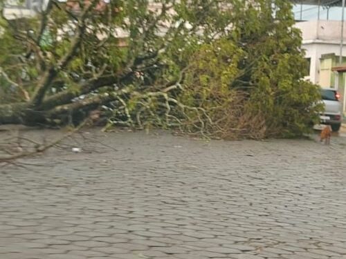 Chuva forte volta a causar estragos em Capela Nova