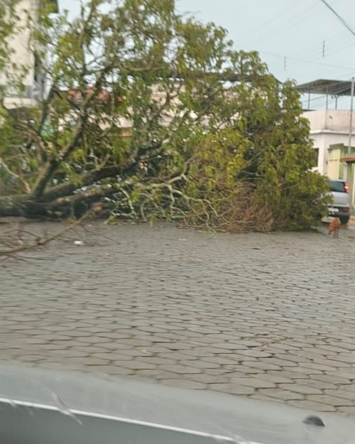 Chuva forte volta a causar estragos em Capela Nova