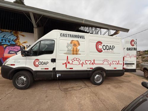 Congonhas realiza mutirão gratuito de castração de cães e gatos