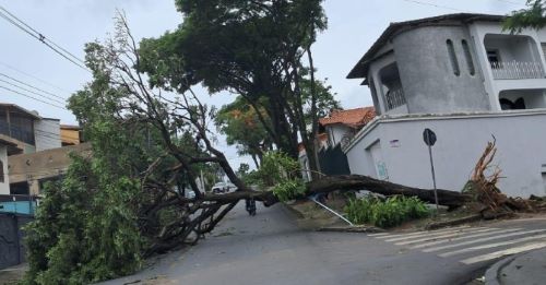 Cemig reforça alerta à população sobre riscos das tempestades
