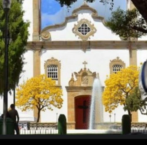 Ipês da Praça dos Andradas viram foco de debate ambiental