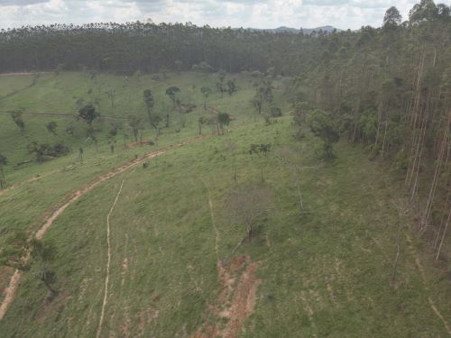 Florestas desmatadas e futuro em risco em São João del-Rei