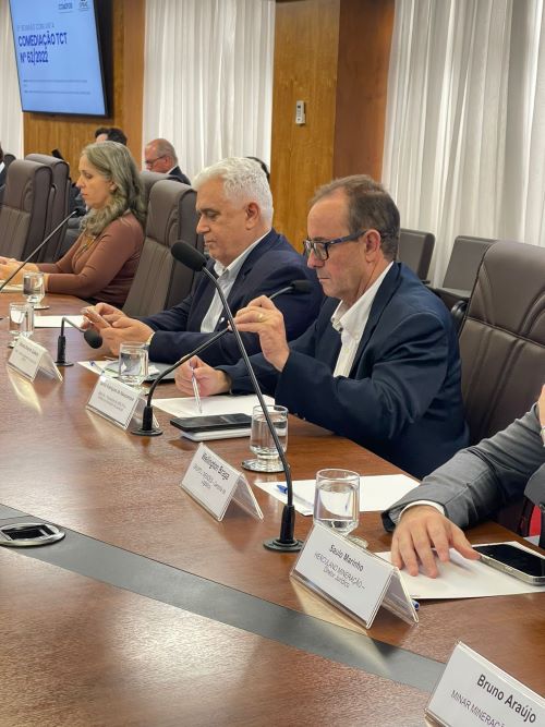 Iniciativas da AMALPA e AMIG resultam em mais segurança viária