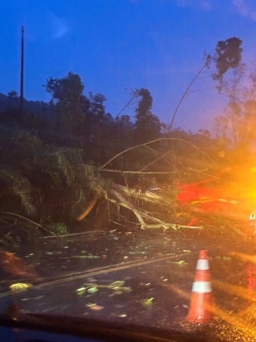 Temporal com ventos fortes causa quedas de árvores na BR-040