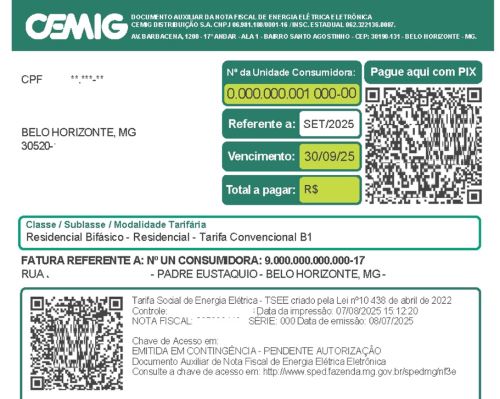 Nova conta da Cemig facilita o dia a dia do usuário