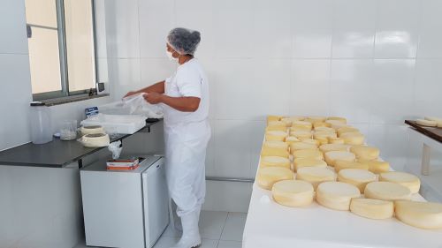 Dia Mundial do Queijo: Minas celebra recorde de produção