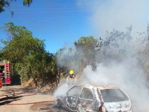 Bombeiros controlam incêndio e evitam dano ambiental