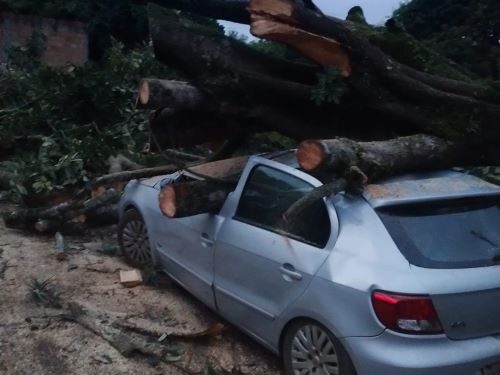 Temporal provoca destelhamentos e queda de árvores em Congonhas