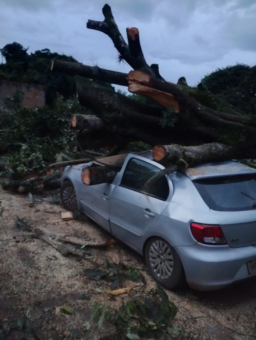 Temporal provoca destelhamentos e queda de árvores em Congonhas