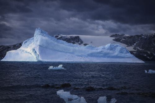 Do gelo ao corpo humano: brasileiros pesquisam limites na Antártica
