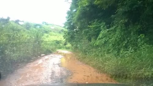 MG-833 em abandono isola moradores e põe vidas em risco