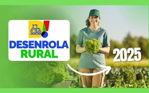Desenrola Rural amplia prazo e mira 1,3 milhão de produtores