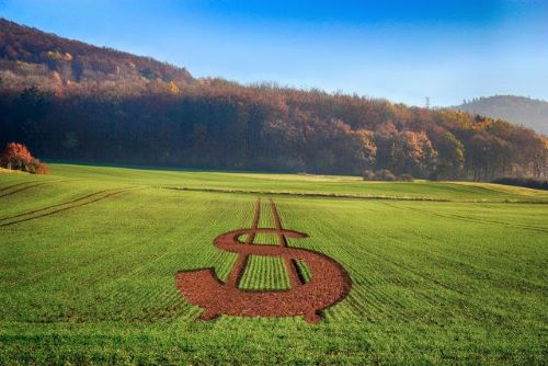 Agro e consumo fazem PIB crescer 1,1% no Brasil