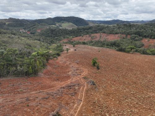 Desmate irregular de 3,5 hectares gera multa de R$ 37 mil