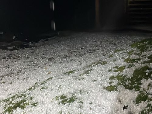 Em Belo Vale, chuva de granizo prejudica pomares de Ponkan