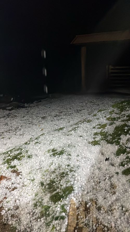 Em Belo Vale, chuva de granizo prejudica pomares de Ponkan
